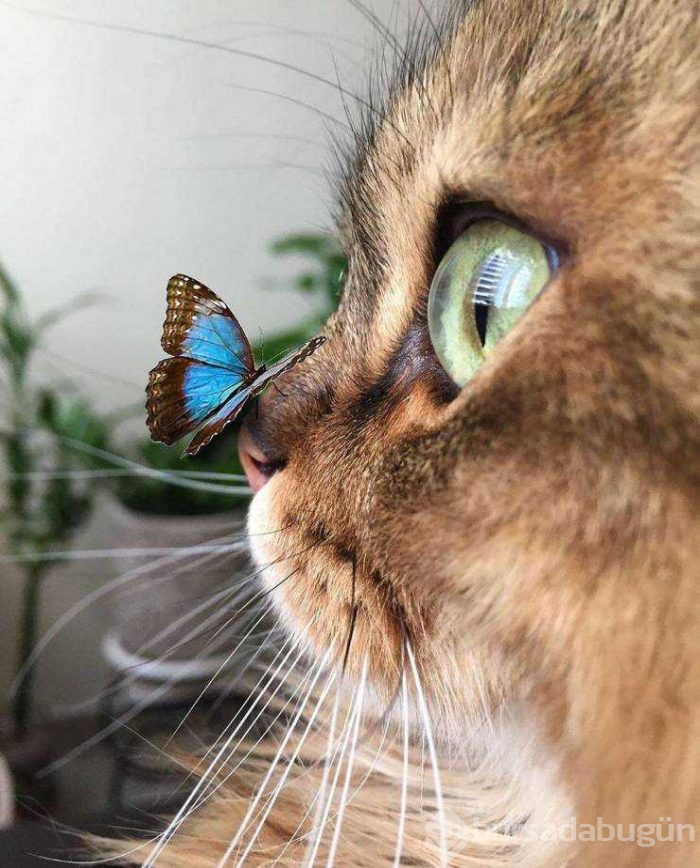 Günün en çok paylaşılan fotoğrafları