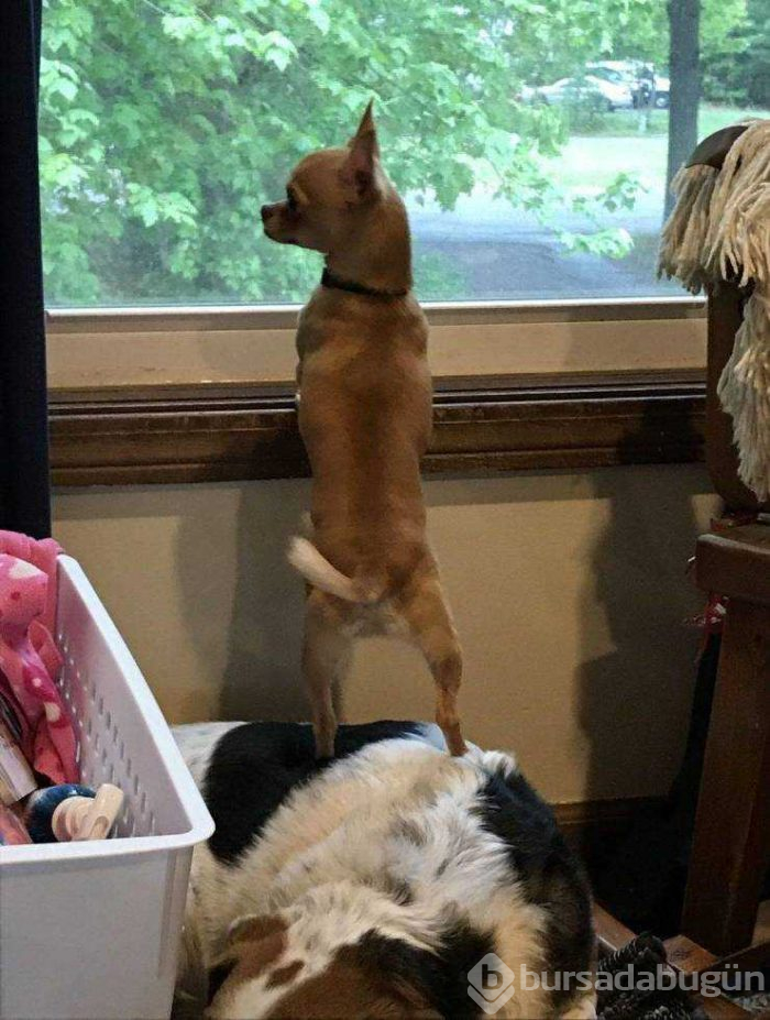Günün en çok paylaşılan fotoğrafları