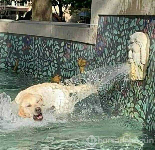 Günün en çok paylaşılan fotoğrafları