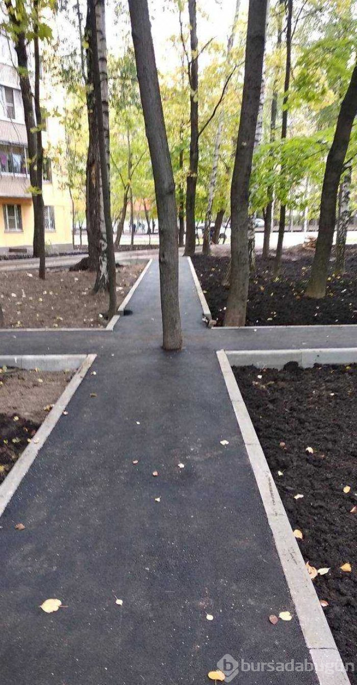 Günün en çok paylaşılan fotoğrafları