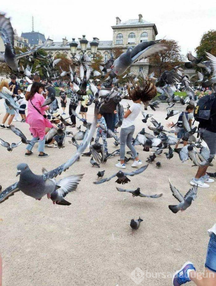 Günün en çok paylaşılan fotoğrafları