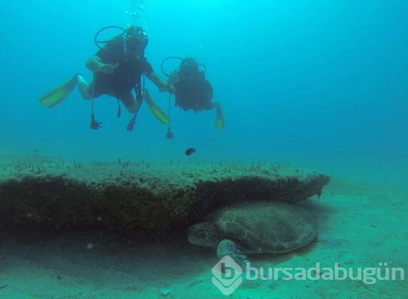 Kekova, dalış tutkunlarının gözdesi olma yolunda ilerliyor