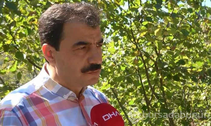 Fındıkta 'Drakula' böceği tehlikesi!