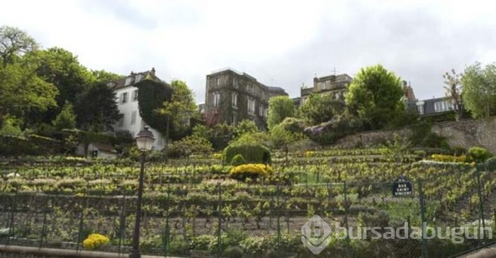 Aşıklar tepesi Montmartre