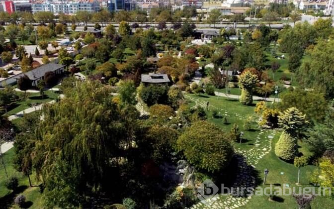 Japon Kyoto Parkı, şehrin turizmine önemli katkı sağlıyor