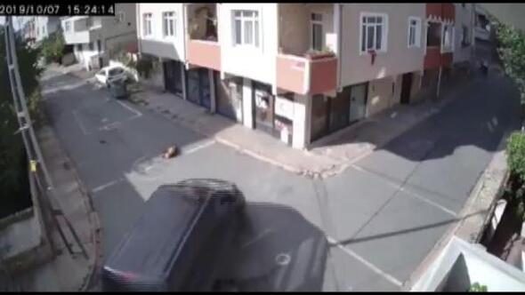 Köpeği ezdi, hiçbir şey olmamış gibi yoluna devam etti
