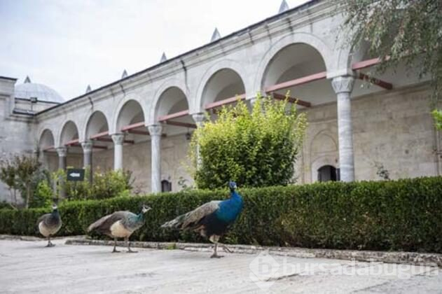 Müze'ye büyük ilgi