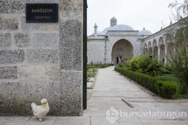 Müze'ye büyük ilgi