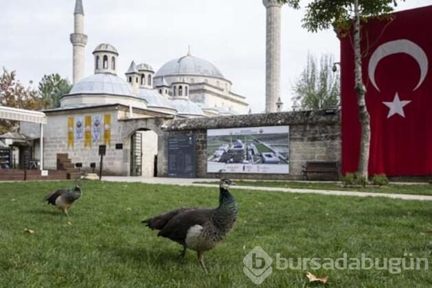 Müze'ye büyük ilgi