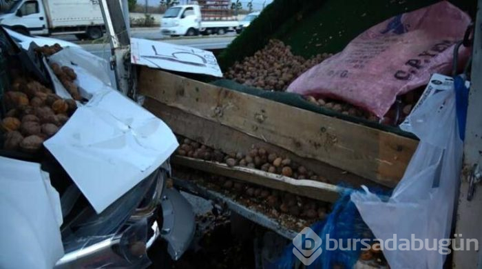Kamyonetten ceviz alırken öldü
