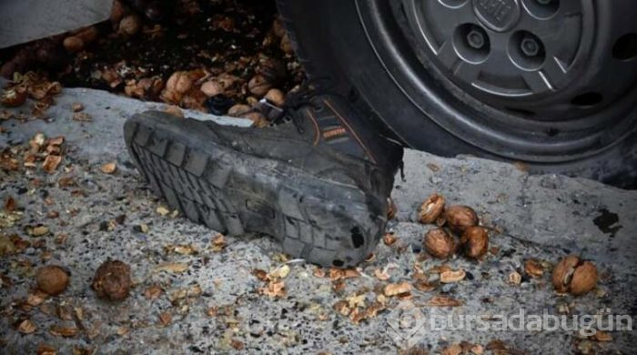 Kamyonetten ceviz alırken öldü