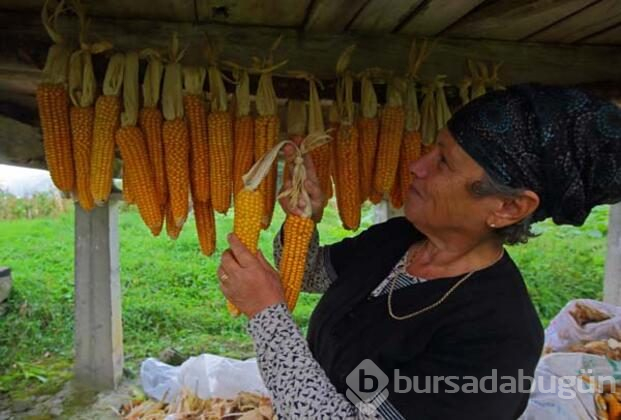 Kış hazırlıkları tamamlandı