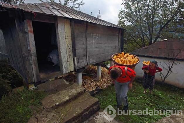 Kış hazırlıkları tamamlandı