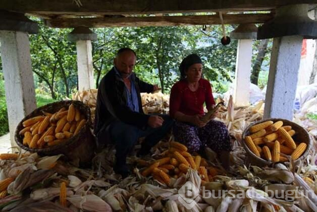 Kış hazırlıkları tamamlandı