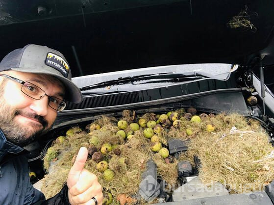 Otomobilin kaputunu açınca şoka uğradılar!
