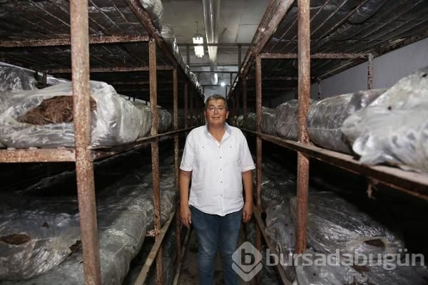 Türkiye'de üretilenin yüzde 54'ü burada yetiştiriliyor!