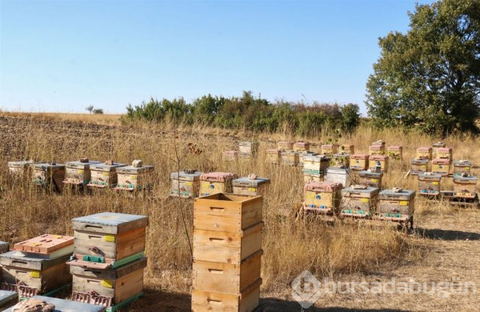 Fobisi üzerinden para kazanmaya başladı!