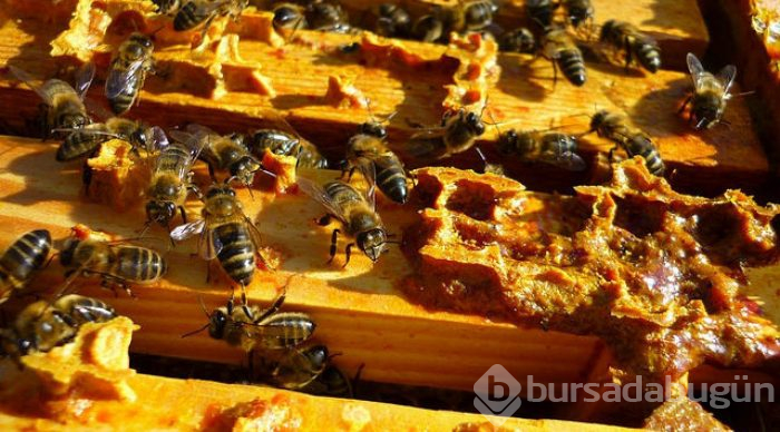 Samancı'dan çarpıcı iddia!