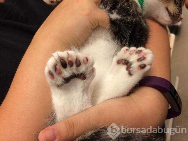 Günün en çok paylaşılan fotoğrafları