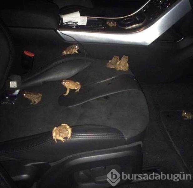 Günün en çok paylaşılan fotoğrafları