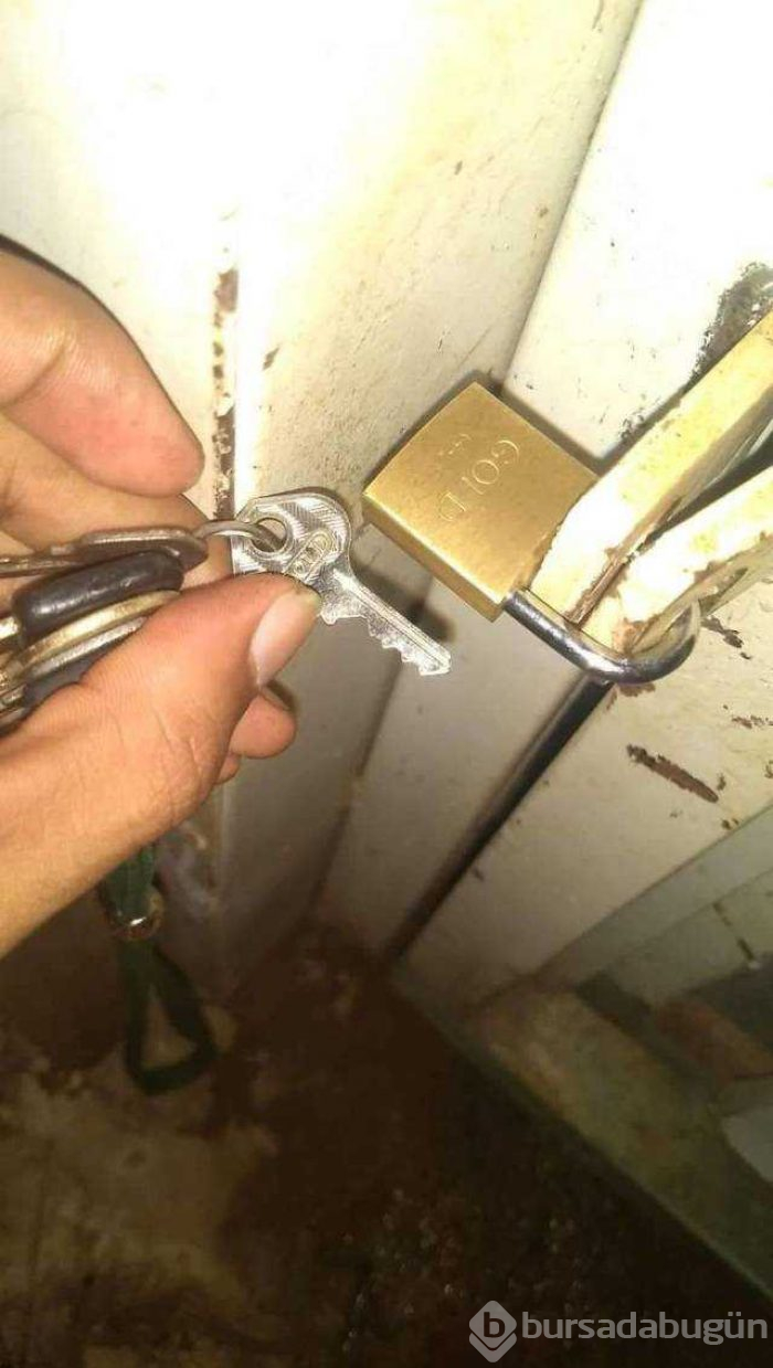 Günün en çok paylaşılan fotoğrafları
