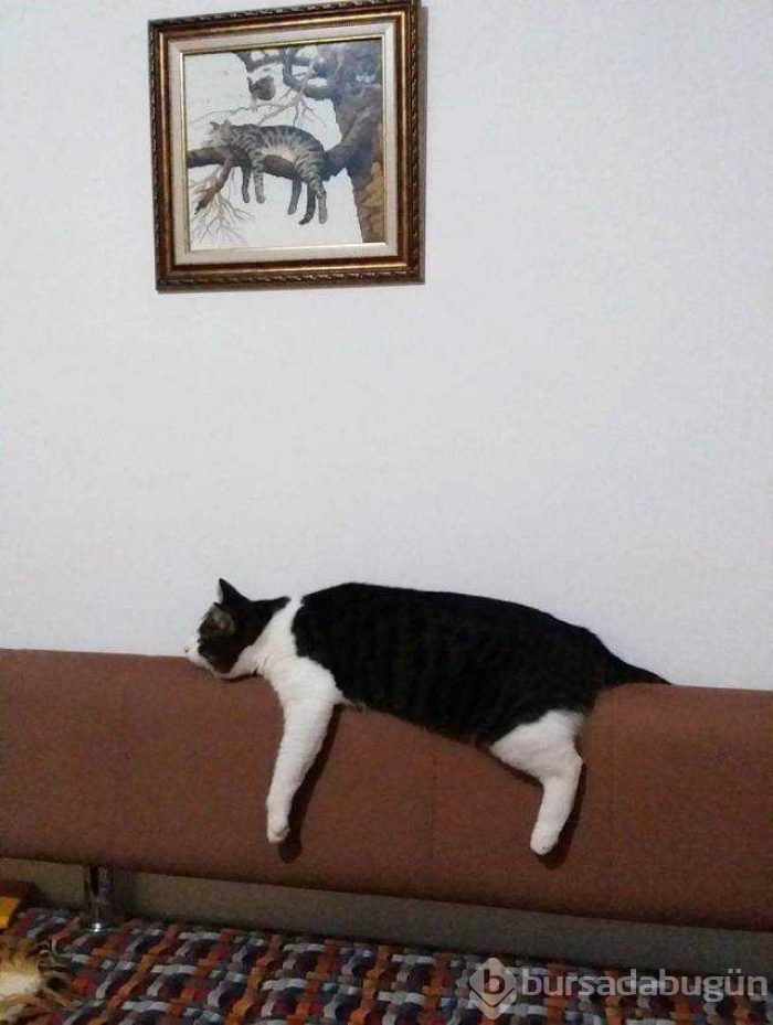 Günün en çok paylaşılan fotoğrafları
