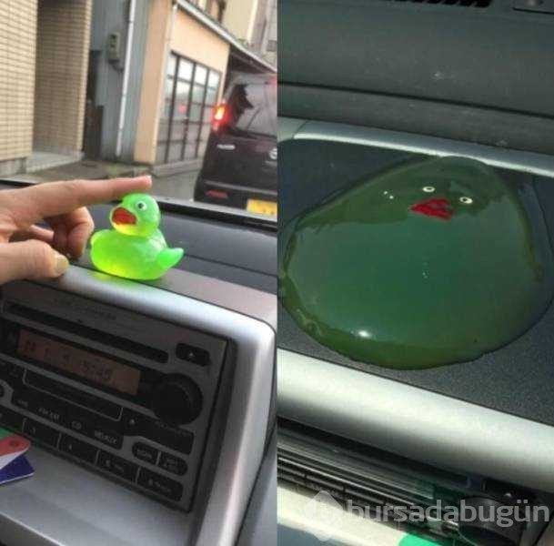 Günün en çok paylaşılan fotoğrafları