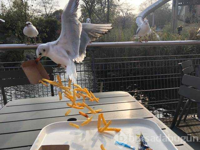 Günün en çok paylaşılan fotoğrafları