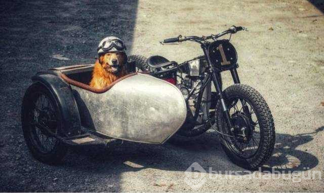Günün en çok paylaşılan fotoğrafları