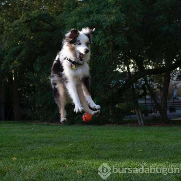 Günün en çok paylaşılan fotoğrafları