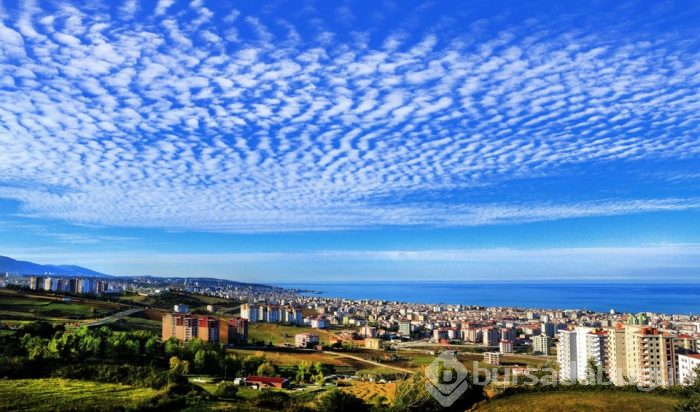 İstanbul'da en çok hangi ilden insan yaşıyor?