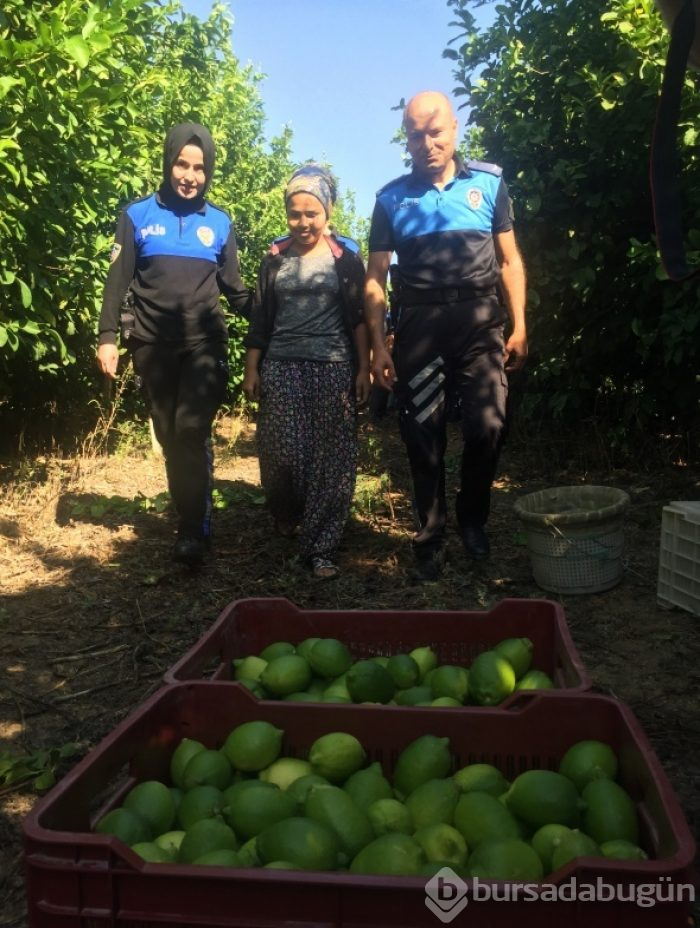 Limon ağacından okula