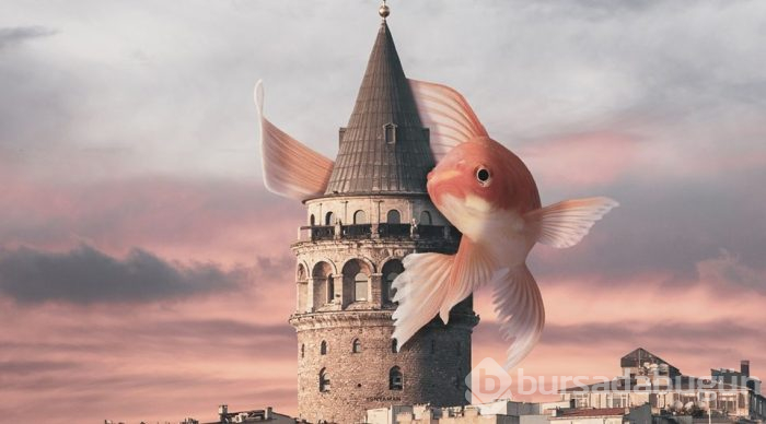 Yasin Yaman'dan 'fantastik' tasarımlar!