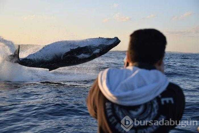 Gerçek olduğuna inanamayacağınız hilesiz fotoğraflar