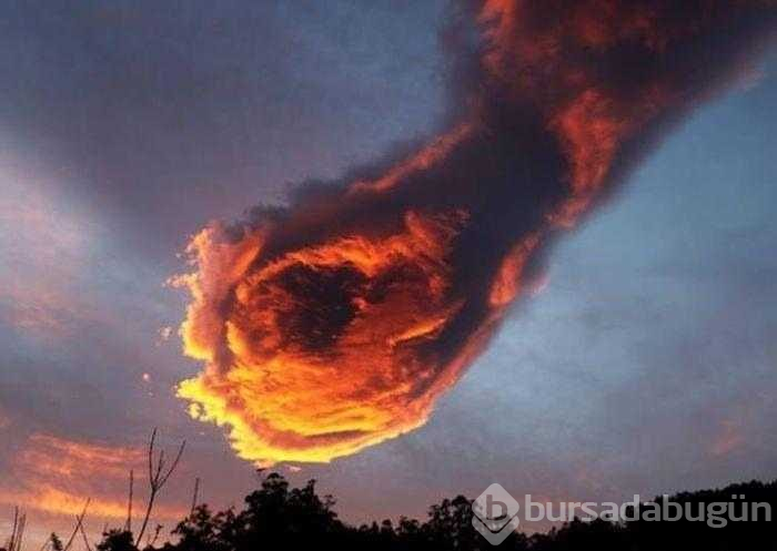 Gerçek olduğuna inanamayacağınız hilesiz fotoğraflar