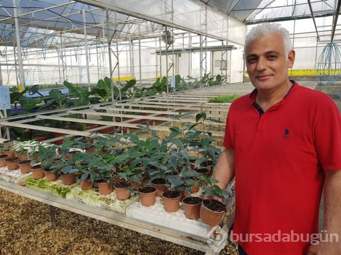 Bu çay bildiğiniz çaylardan çok farklı