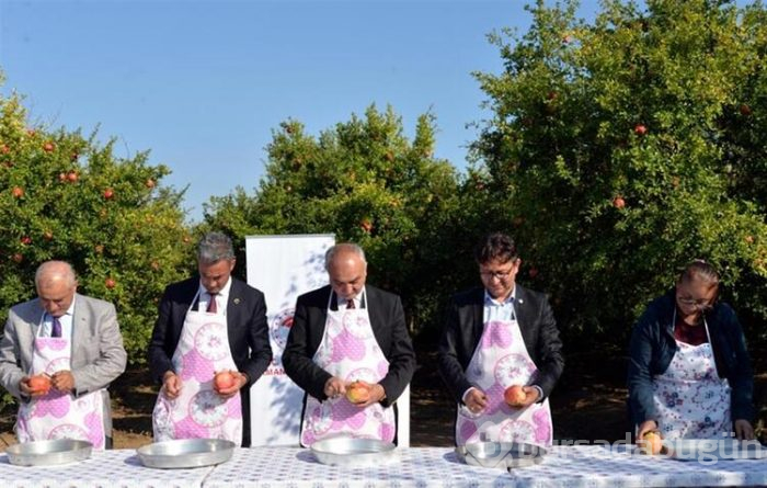 Nar yemek ve suyunu sıkmak için yarıştılar!