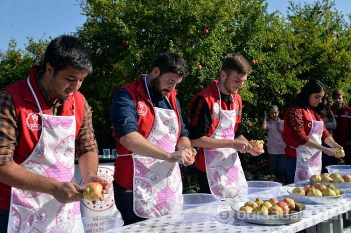Nar yemek ve suyunu sıkmak için yarıştılar!