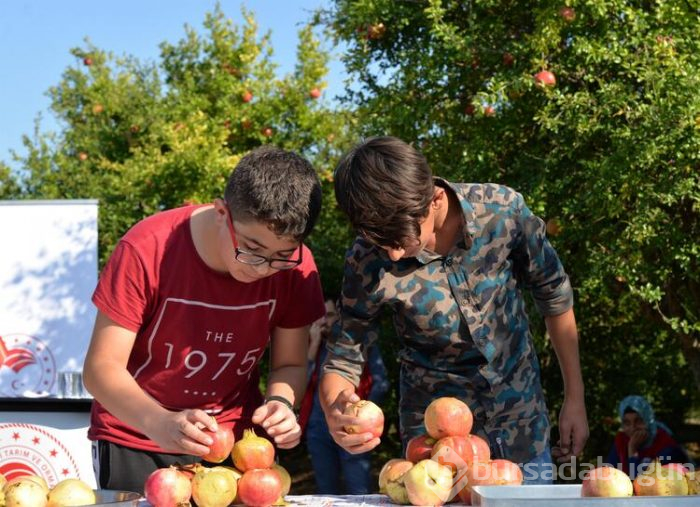 Nar yemek ve suyunu sıkmak için yarıştılar!