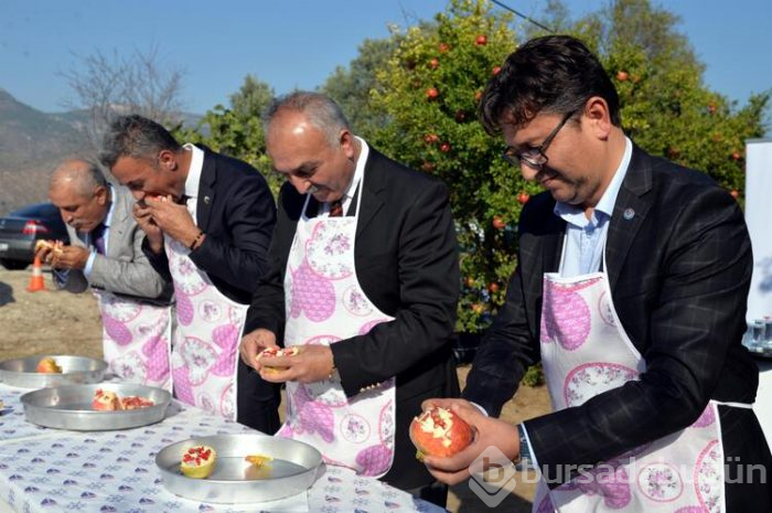 Nar yemek ve suyunu sıkmak için yarıştılar!