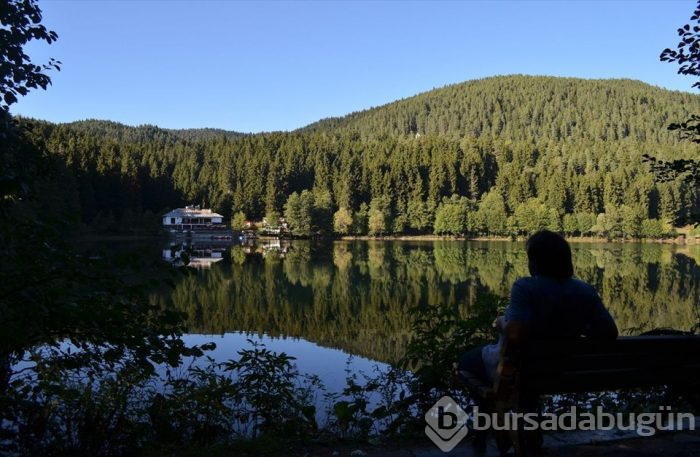 Artvin'in sakin şehri sonbaharda bir başka güzel