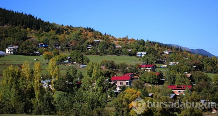 Artvin'in sakin şehri sonbaharda bir başka güzel