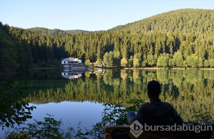 Artvin'in sakin şehri sonbaharda bir başka güzel