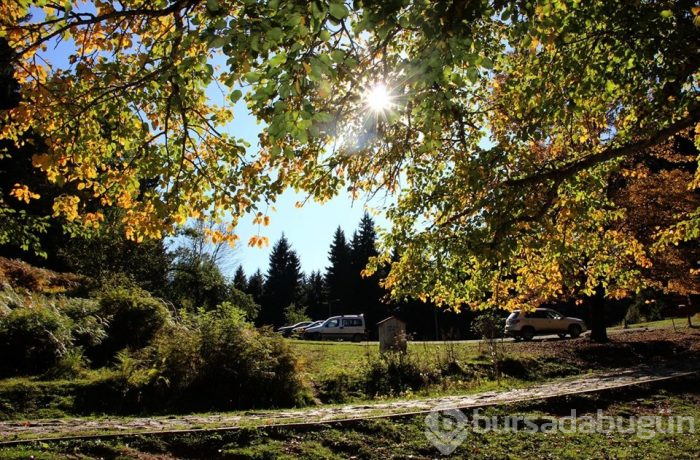Artvin'in sakin şehri sonbaharda bir başka güzel