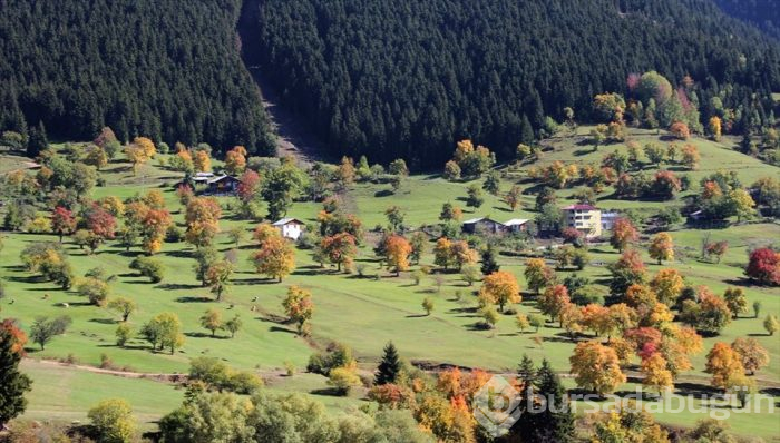 Artvin'in sakin şehri sonbaharda bir başka güzel