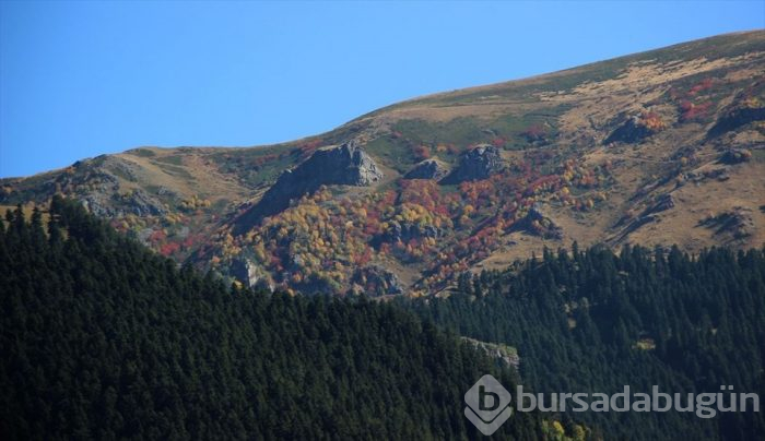 Artvin'in sakin şehri sonbaharda bir başka güzel