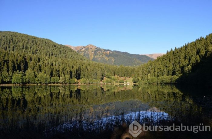 Artvin'in sakin şehri sonbaharda bir başka güzel