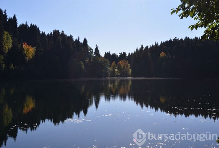 Artvin'in sakin şehri sonbaharda bir başka güzel