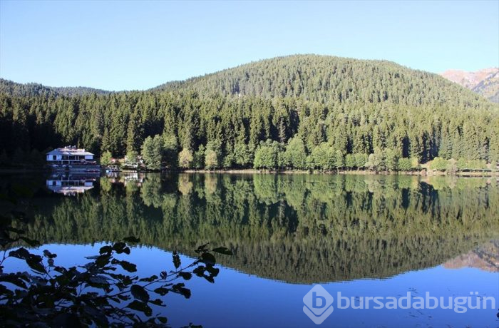 Artvin'in sakin şehri sonbaharda bir başka güzel