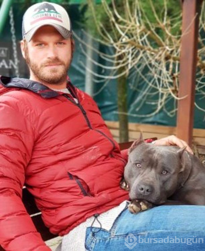 Yıllardır baktığı köpeğinin hastalığı belli oldu